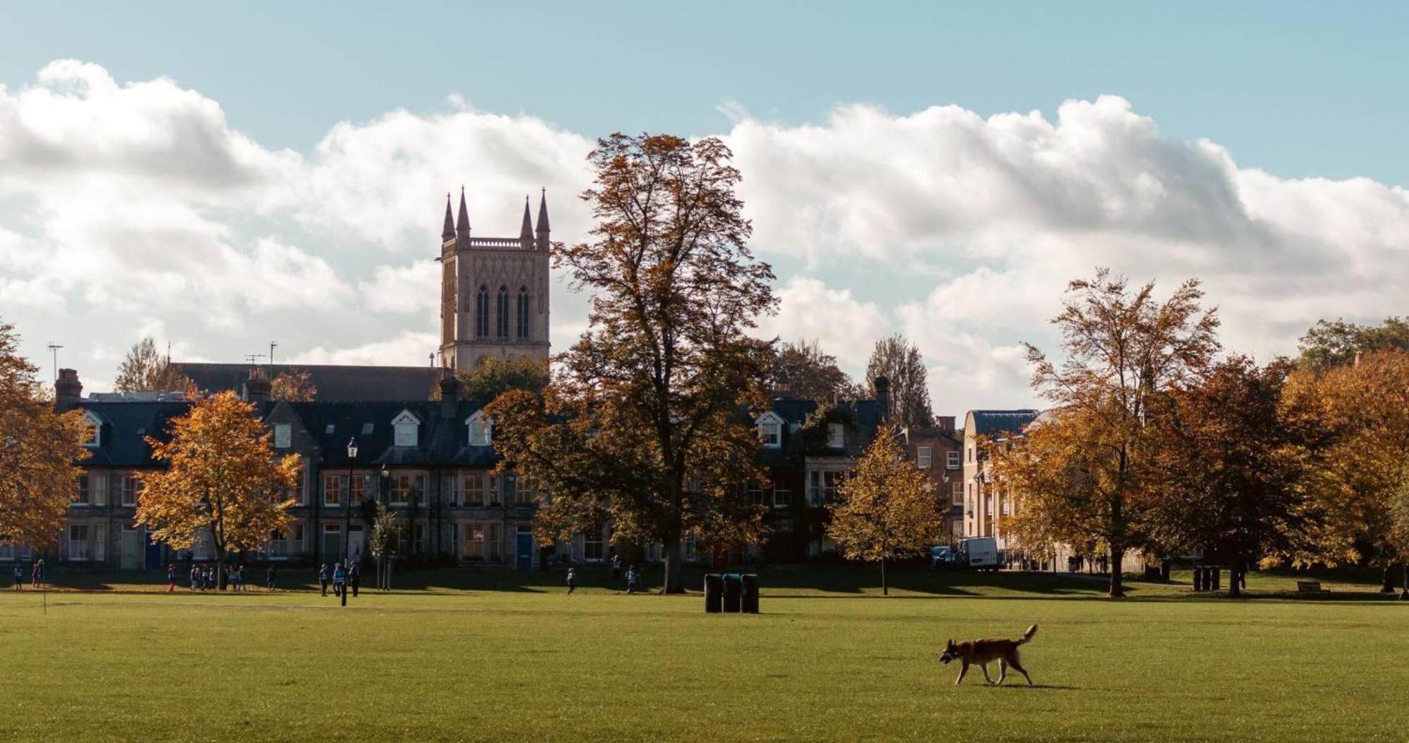 Cambridge Stays - Apartment At Addenbrooke Hospital And Bio Campus - Free Private Parking Exterior foto